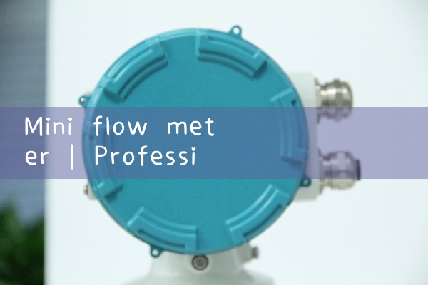 mini flow meter|heat flow meter